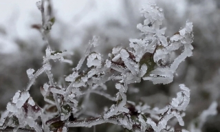 Tiết Đại hàn 2026 bao giờ kết thúc?